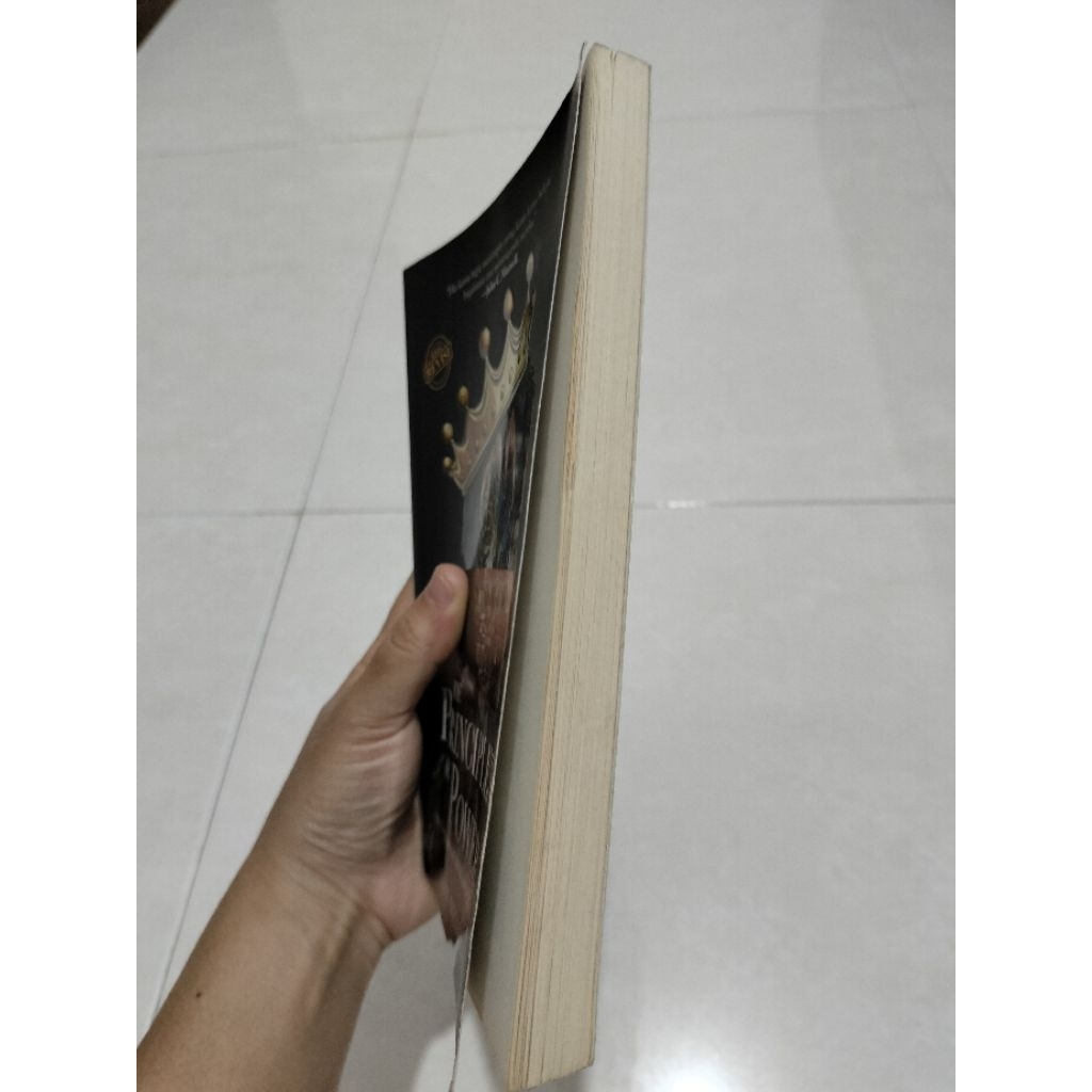 Preloved "The Principles of Power" by Dion Yulianto