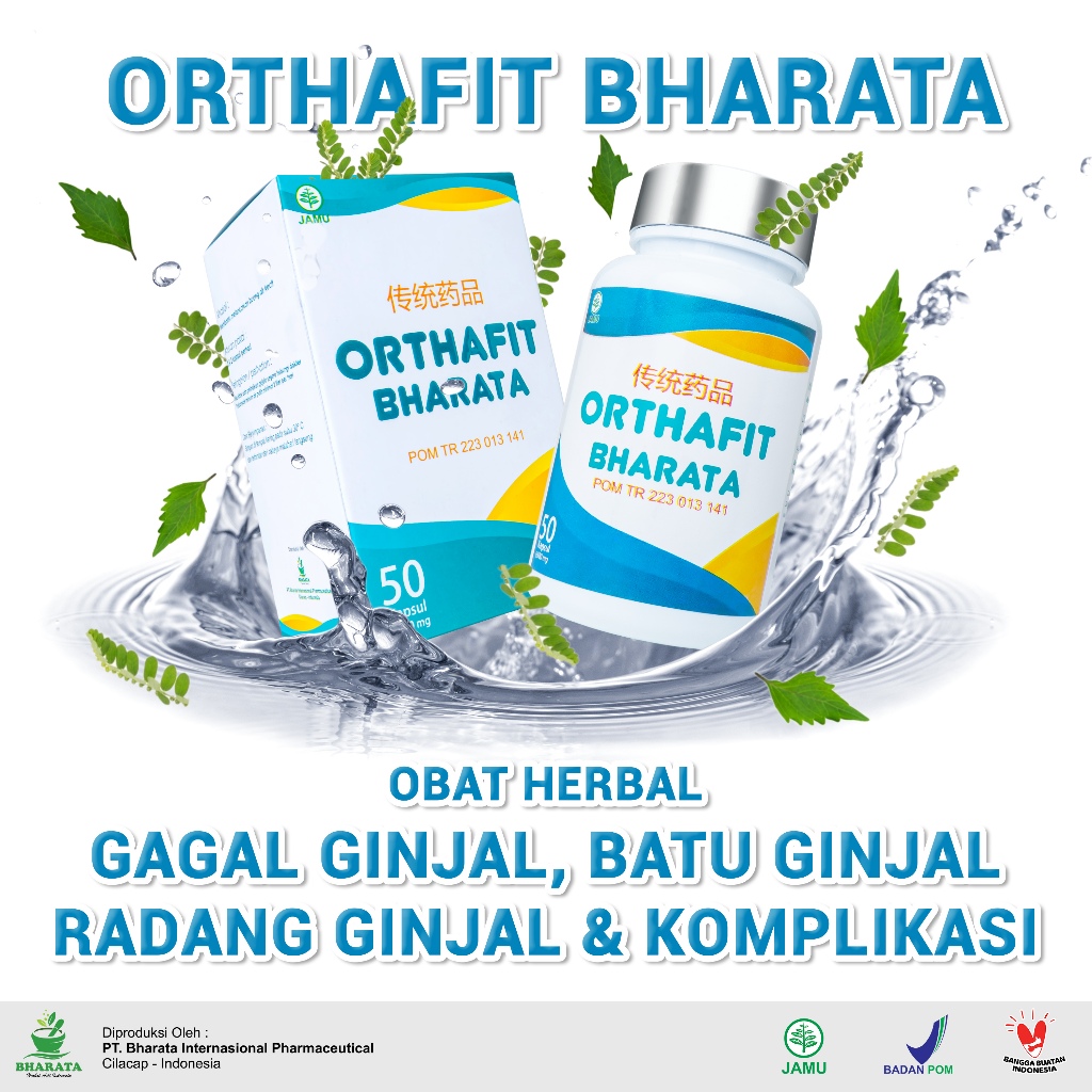 Obat Ginjal Ampuh ORTHAFIT BHARATA Original Herbal Gagal Ginjal ISK Batu Ginjal Prostat 50 Kapsul