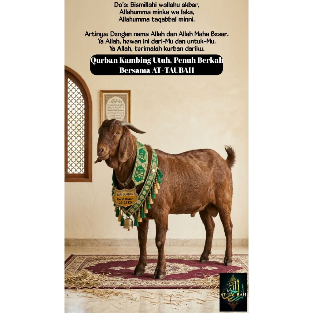 AT-TAUBAH QURBAN/KURBAN KAMBING JANTAN