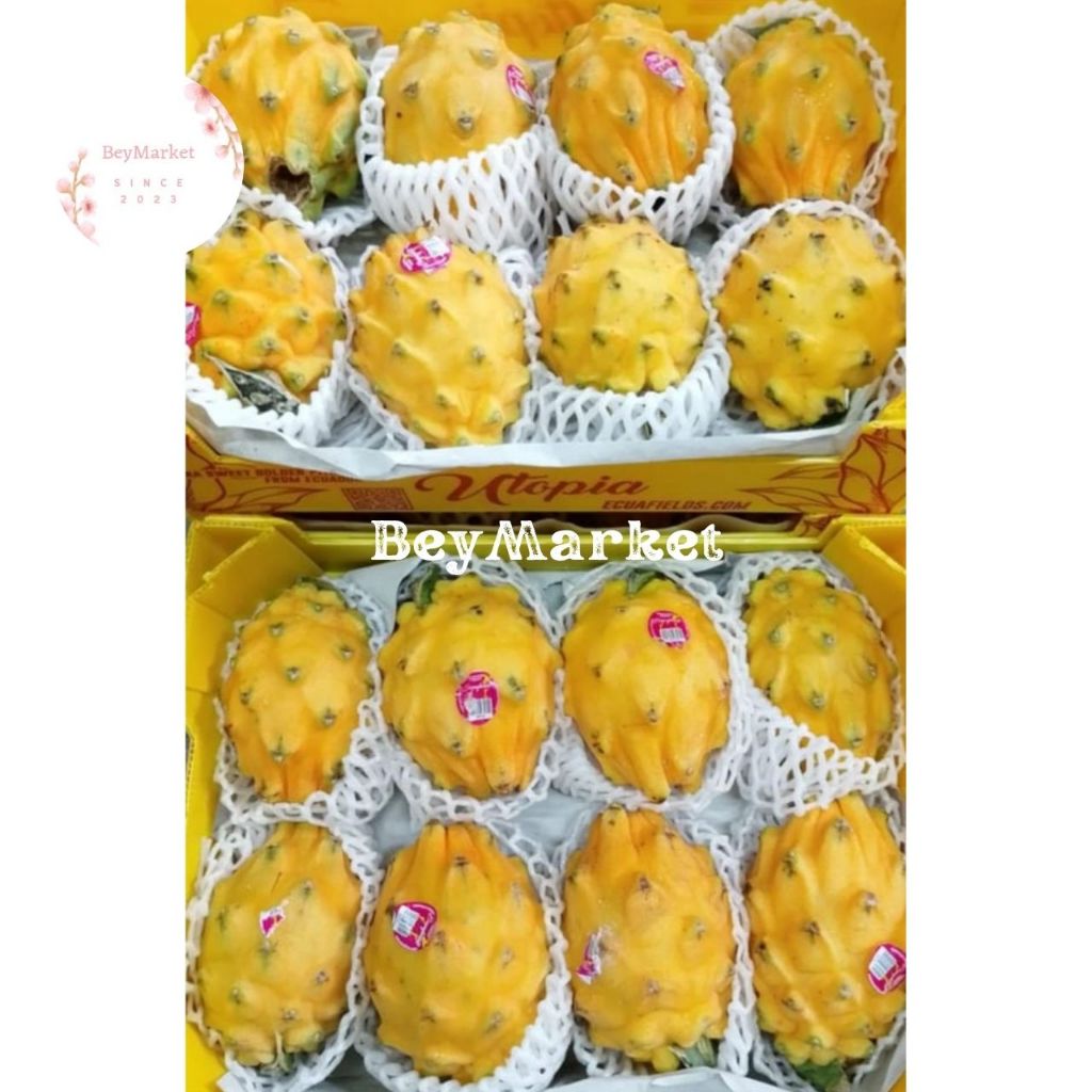 Buah Naga Kuning Equador Import Manis | Naga Putih Import | 1 Box