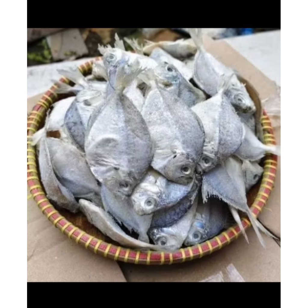 ikan petek asin /ikan petek asin tanggung
