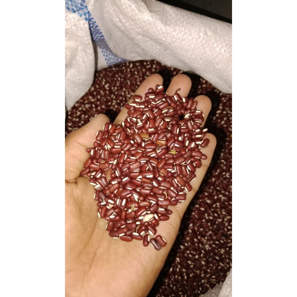 Kacang merah / Kacang es kecil 1 kg / Kacang adzuki / Kacang Tolo merah - Bersih 1 kg