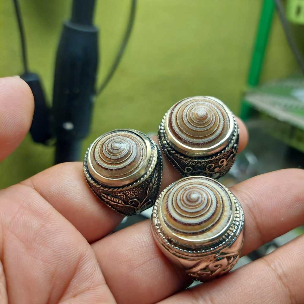 Cincin batu keong kul buntet asli keong pusar bumi