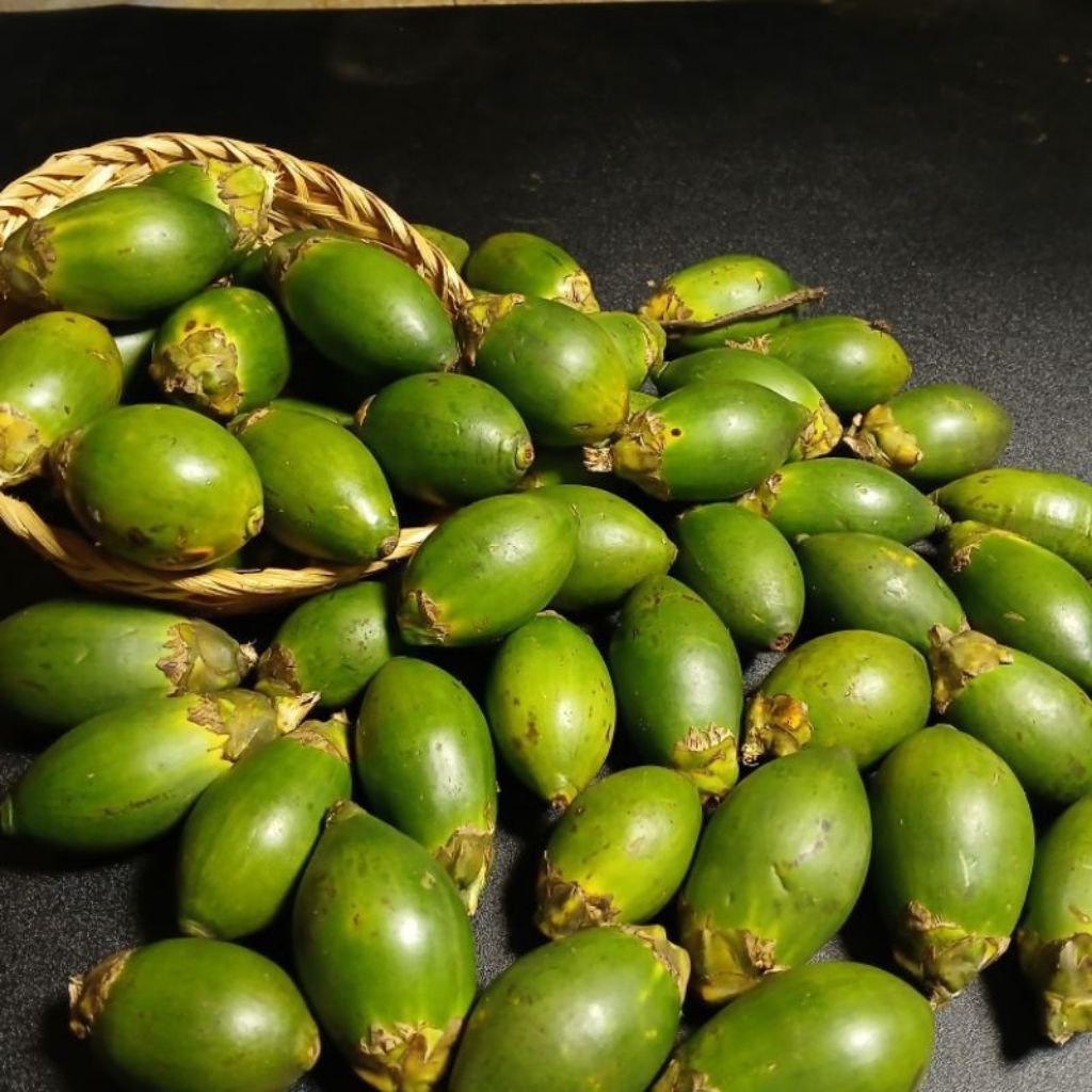 promo buah pinang muda membantu stamina pria