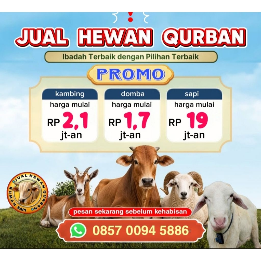JUAL HEWAN QURBAN