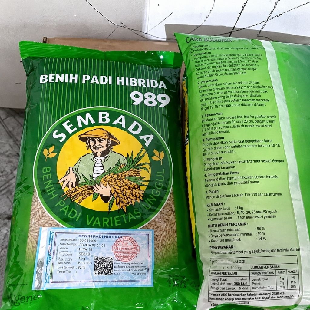 1KG BENIH PADI HIBRIDA SEMBADA 989 100% ORIGINAL UNGGUL & BERKUALITAS