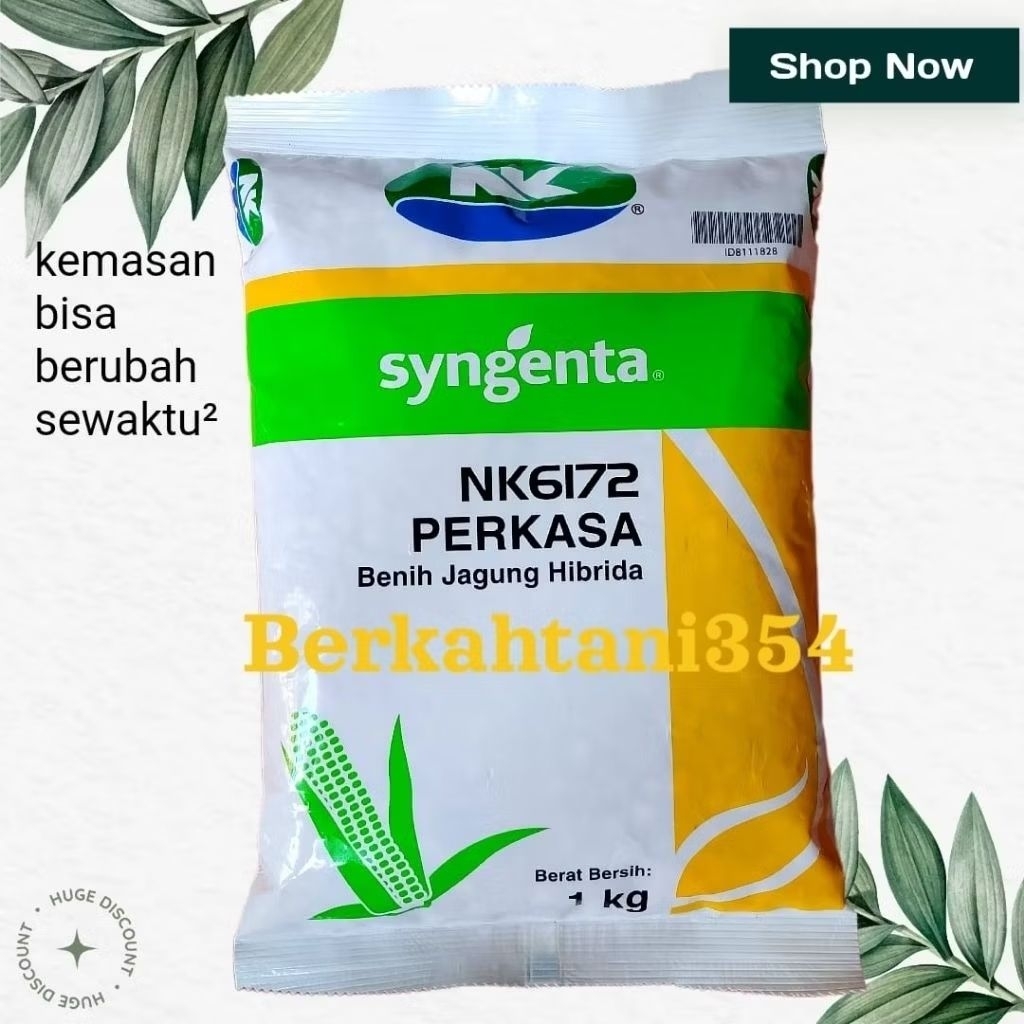 Benih jagung p40 p35 p21 nk perkasa 1kg Bibit jagung pioner p 40 original Benih jagung pioneer p40 1