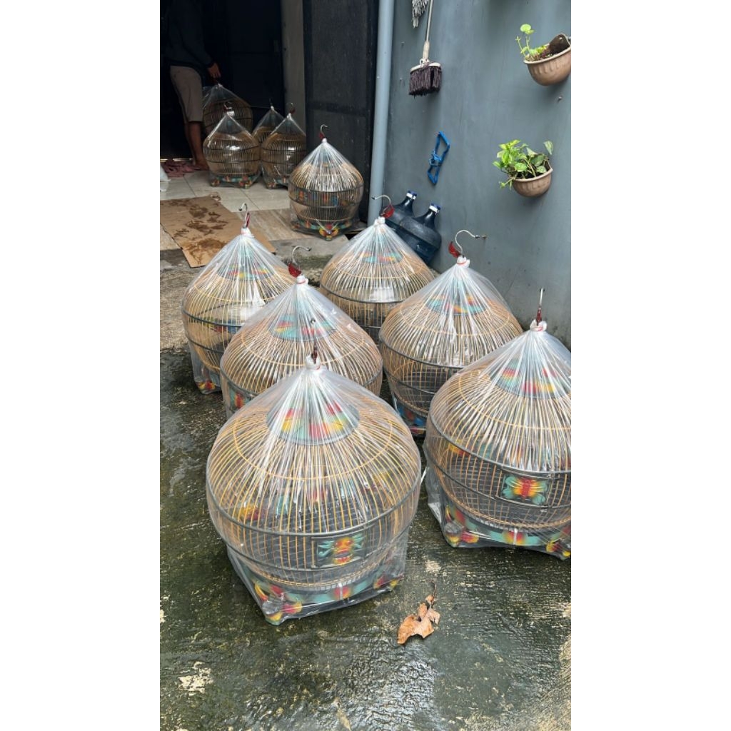sangkar burung derkuku sangkar derkuku jemur