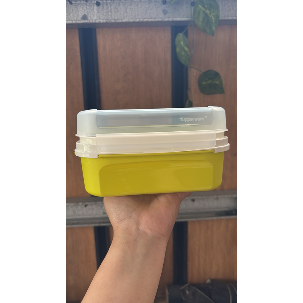 signature Square tupperware