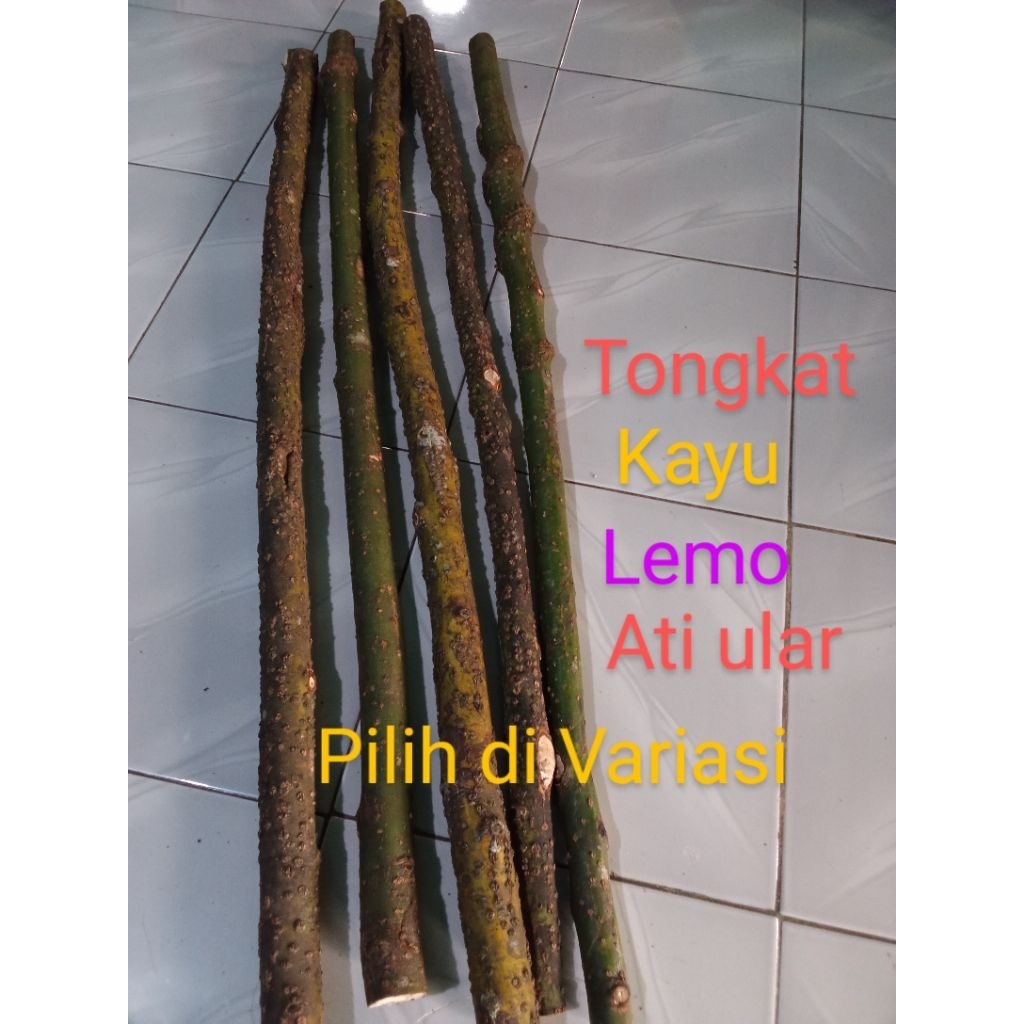 tongkat kayu alat bantu jalan alami alam ber macam  motip unik dan menarik anti hama ular ber varisi