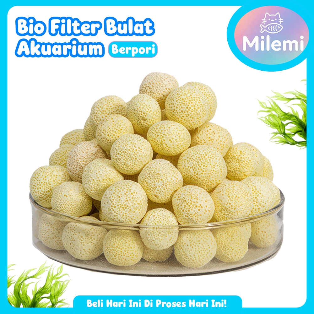Bio Filter Bulat Aquarium Media Filter Keramik Berpori Anti Amonia Penjernih Air