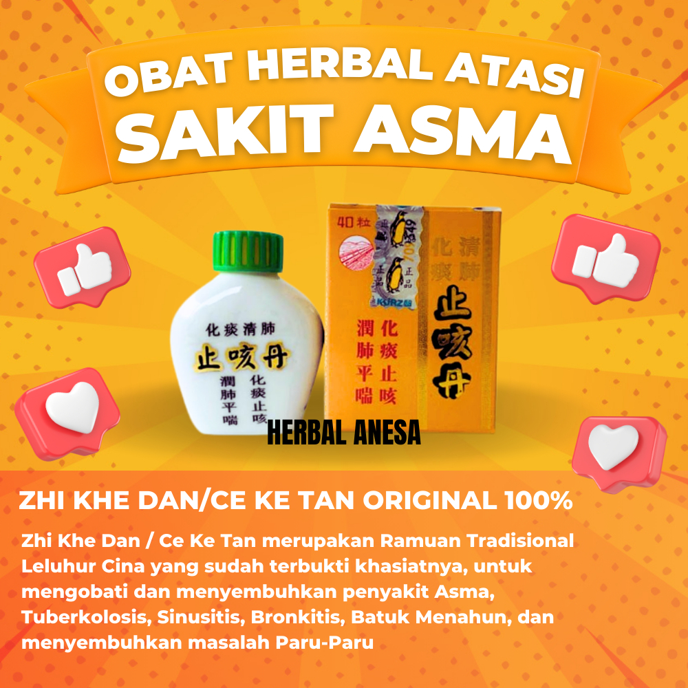 Zhi Ke Dan Original Obat Batuk Herbal Cina Untuk Batuk Berdahak Batuk Kering Tenggorokan Gatal