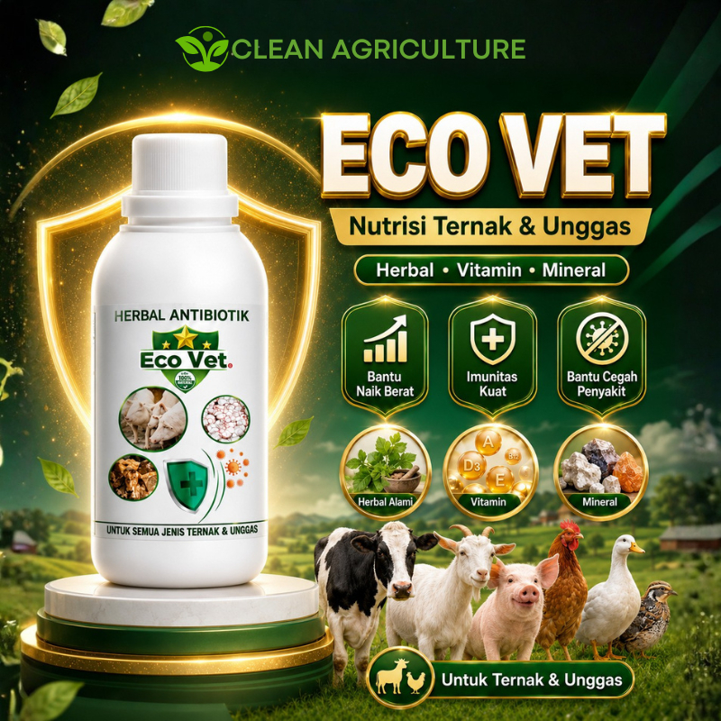 [Beli 2 Gratis 1] Ecovet Vitamin Nutrisi Antibiotik Hewan Ternak Ayam Sapi Kambing Domba Babi
