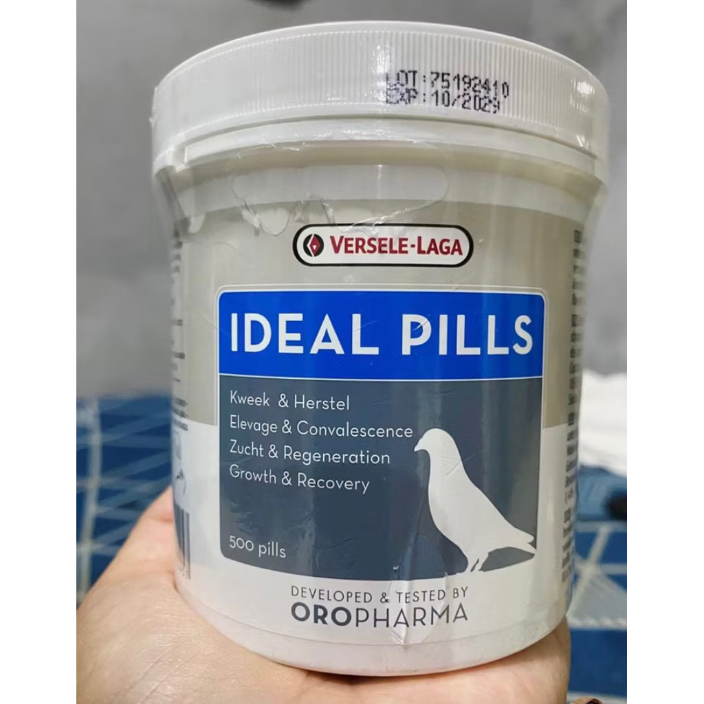 IDEAL PILLS VERSELE LAGA  ( ECER )