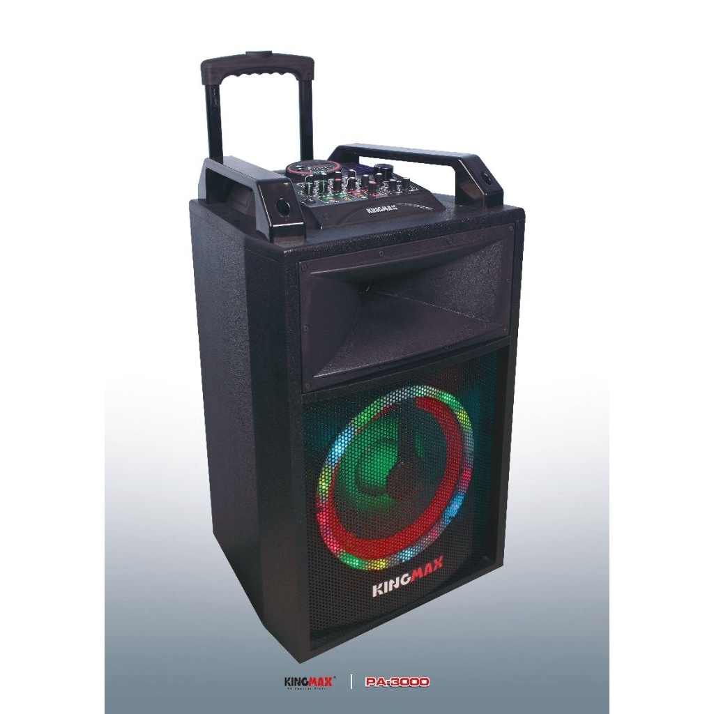 Speaker Trolley 12 inchi Kingmax PA-3000, Power Supply AC dan DC 12 Volt Non Baterai (External)