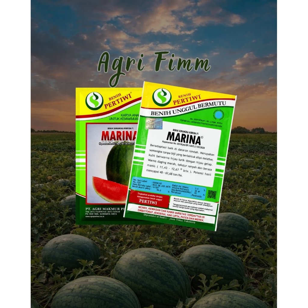 Benih Semangka MARINA F1 20 Gram Non Biji
