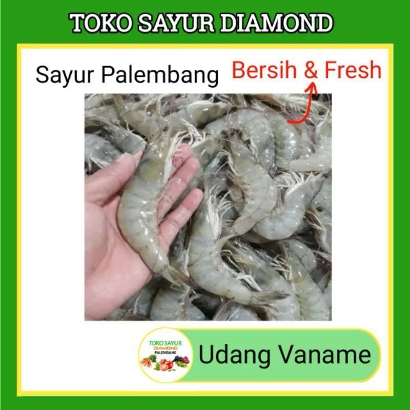 Udang Vaname Fresh - Palembang