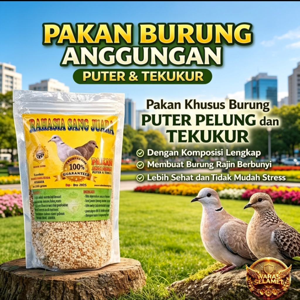 RAHASIA SANG JUARA Pakan Burung Puter Pelung Tekukur 250gr Membuat Rajin Berbunyi Bahan Alami