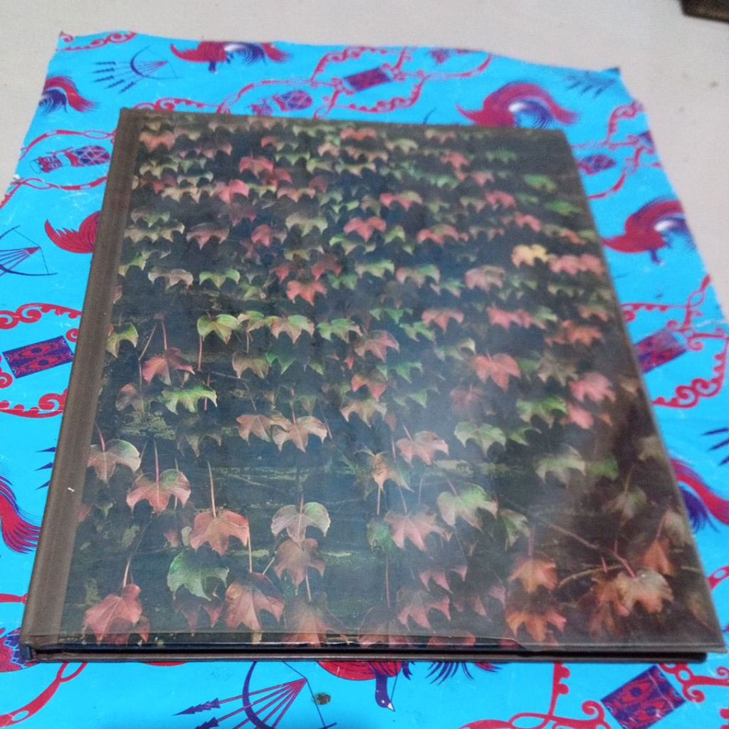Buku import The Time Life Encyclopedia Of Gardening - Vines