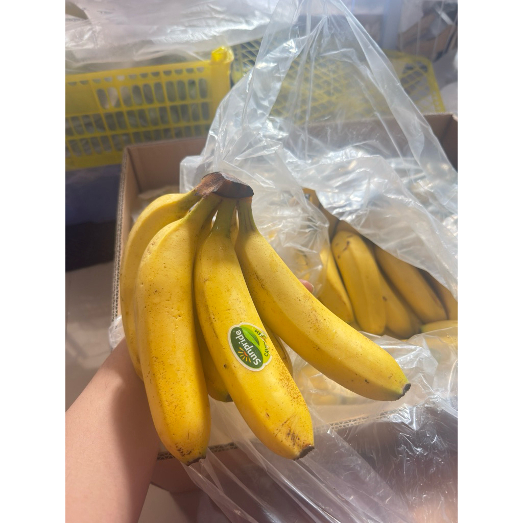 pisang cavendish C3 sunpride