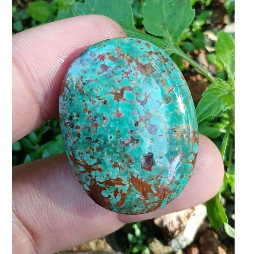 pirus persia ijo sakrall
