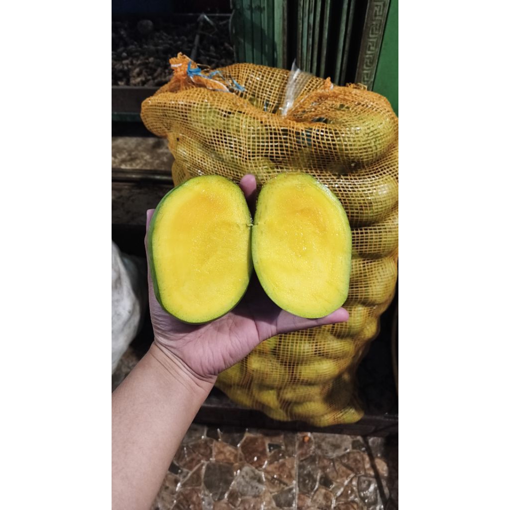 MANGGA KWENI