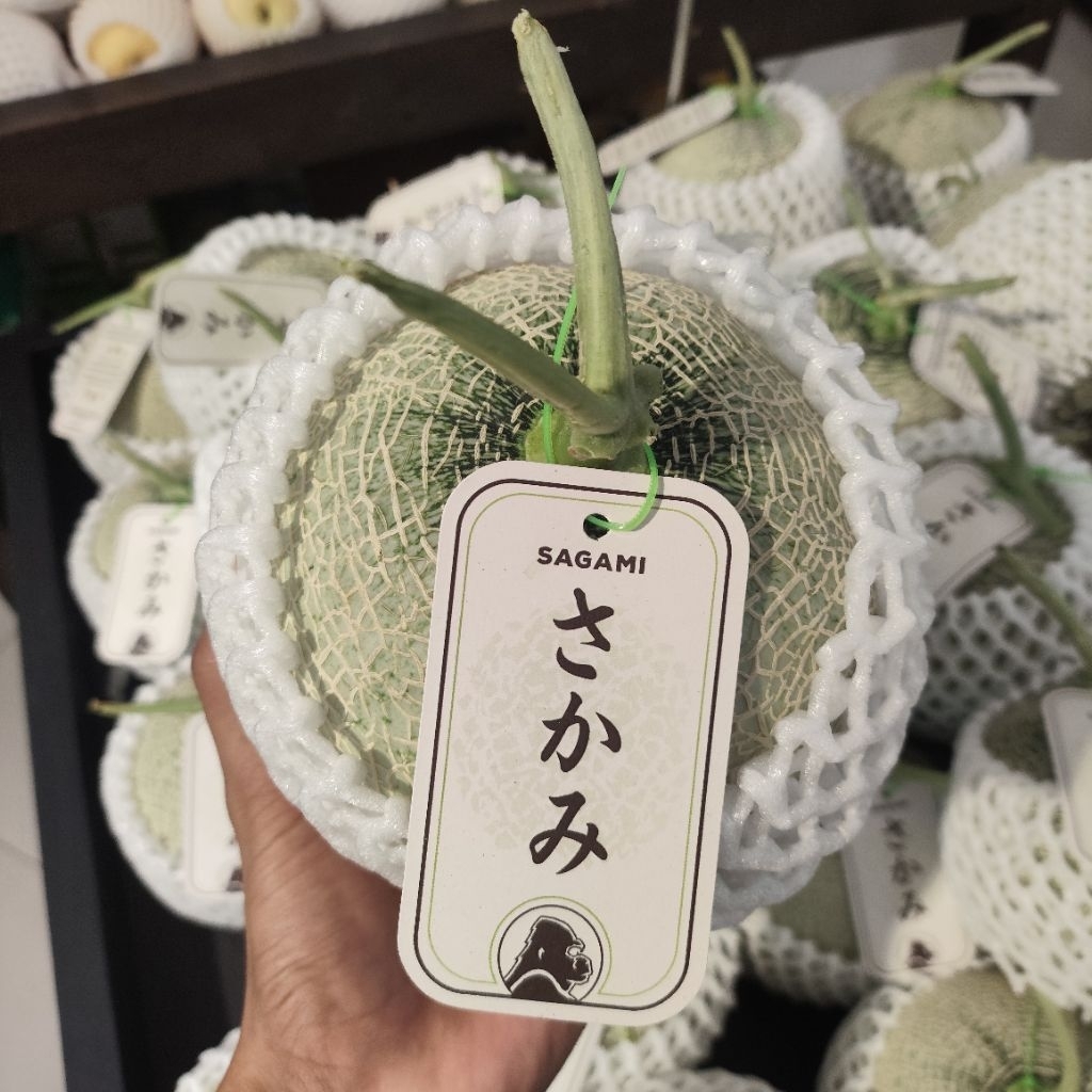 Melon Sagami Premium Hidroponik Utuh Segar / Fresh Melon Premium ±1.5kg