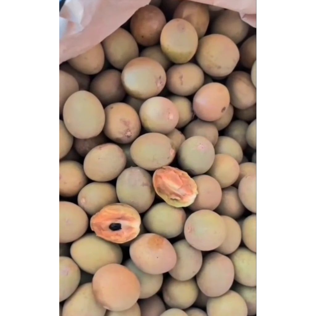 buah sawo 1kg Purwosari sukorejo purwodadi