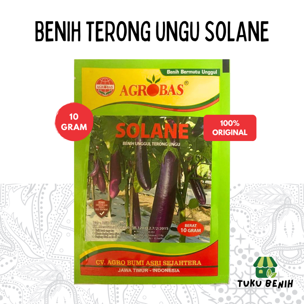 Benih Terong Ungu SOLANE 10 Gram - Agrobas