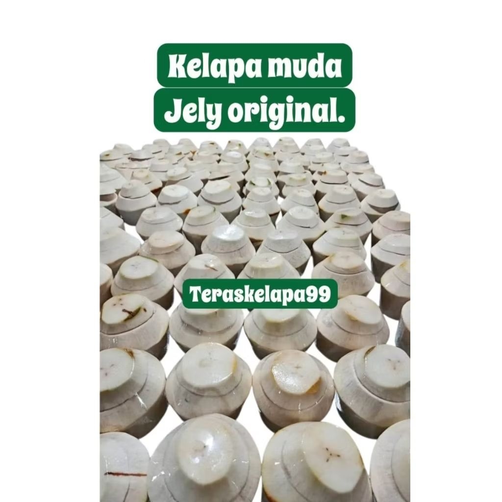 Degan Jelly / Jelly Kelapa  Segar dan Yummy Original