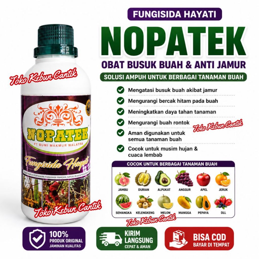 NOPATEK Fungisida Tanaman Buah Untuk Alpukat Anggur Melon Dan Jambu Bercak Hitam