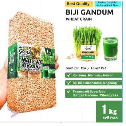 Goodseed - Biji Gandum (Benih Wheatgrass) Superfood Rumput Kucing 1 Kg
