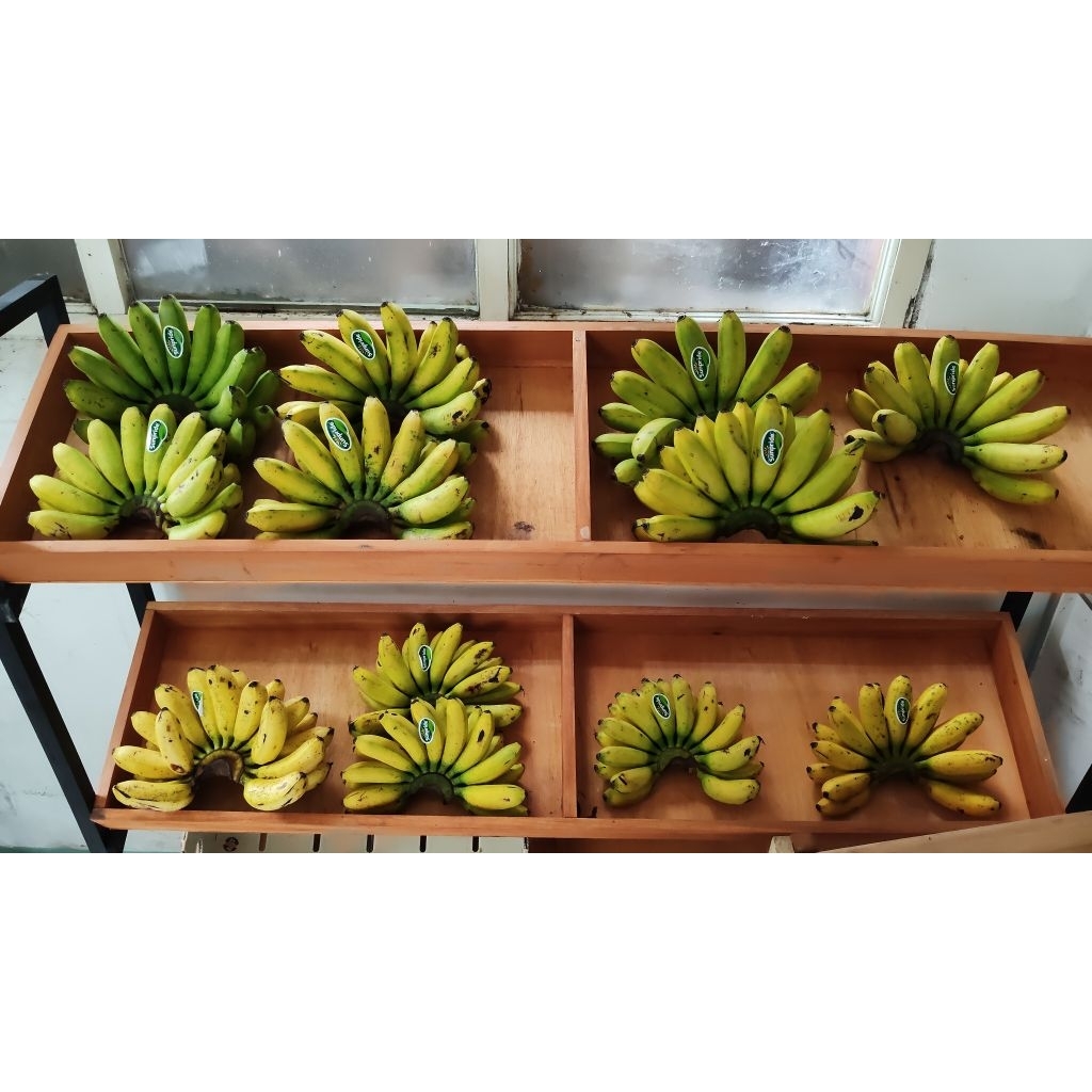Pisang Mas Sunpride 1 Sisir