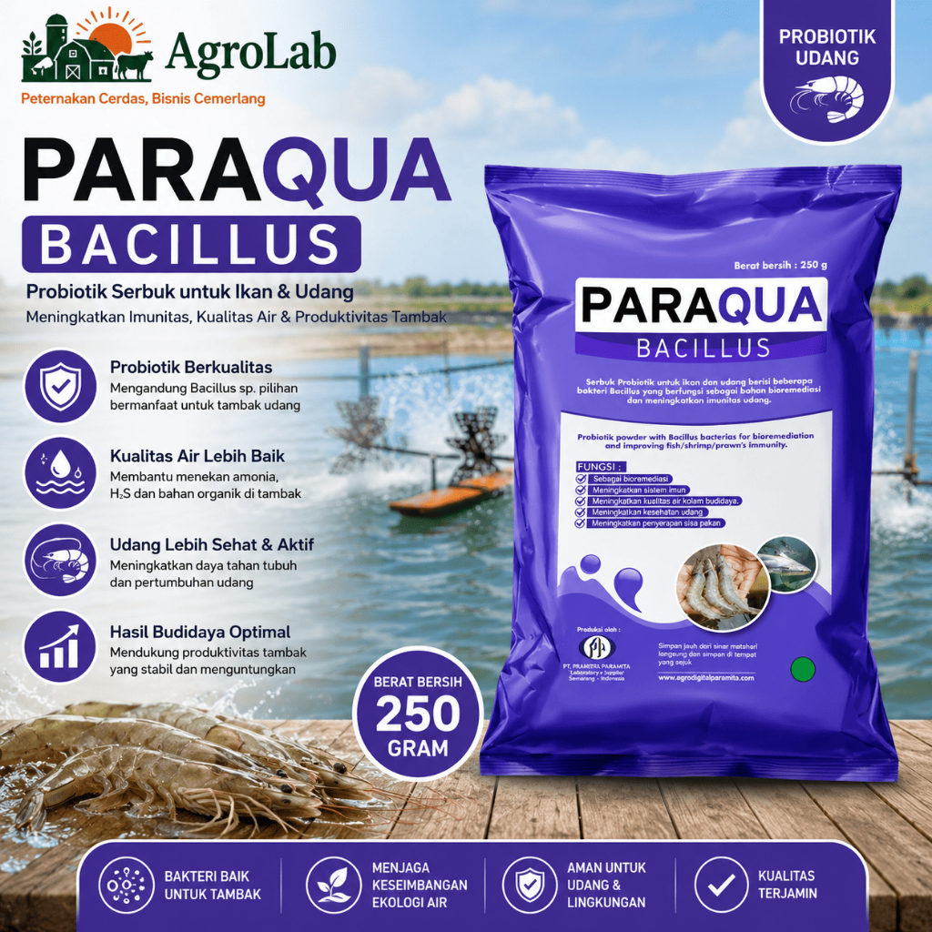 Paraqua Bacillus Probiotik Meningkatkan Kualitas Air Kolam Imunitas Udang 250gr