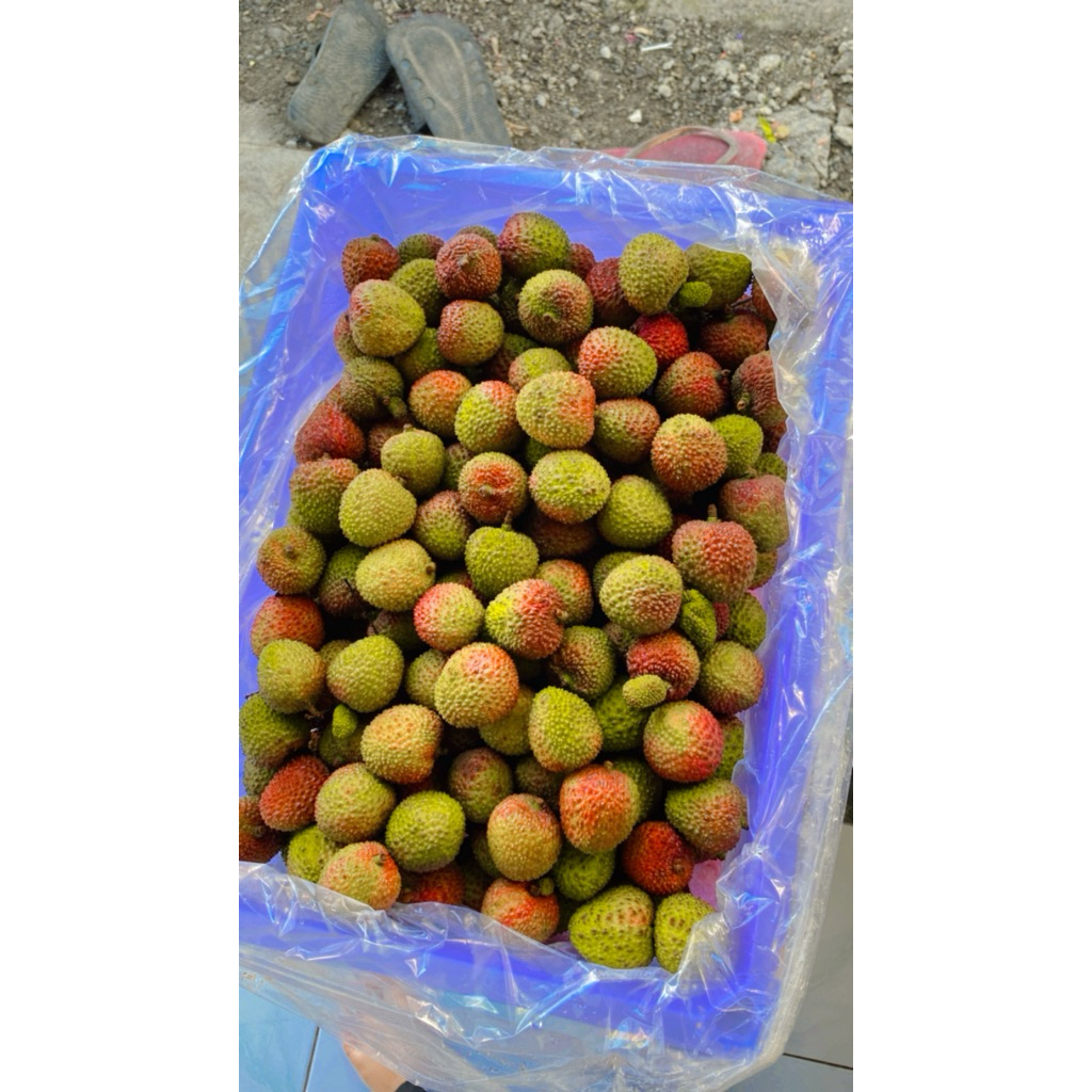 Leci madu