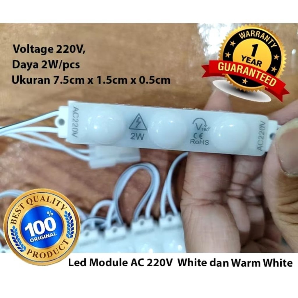 LED MODULE AC 220V