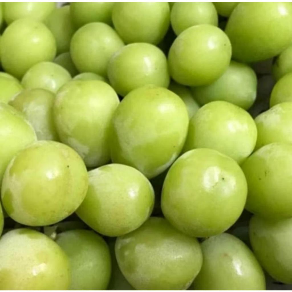 Anggur Hijau Tanpa Biji Manis Segar 1kg