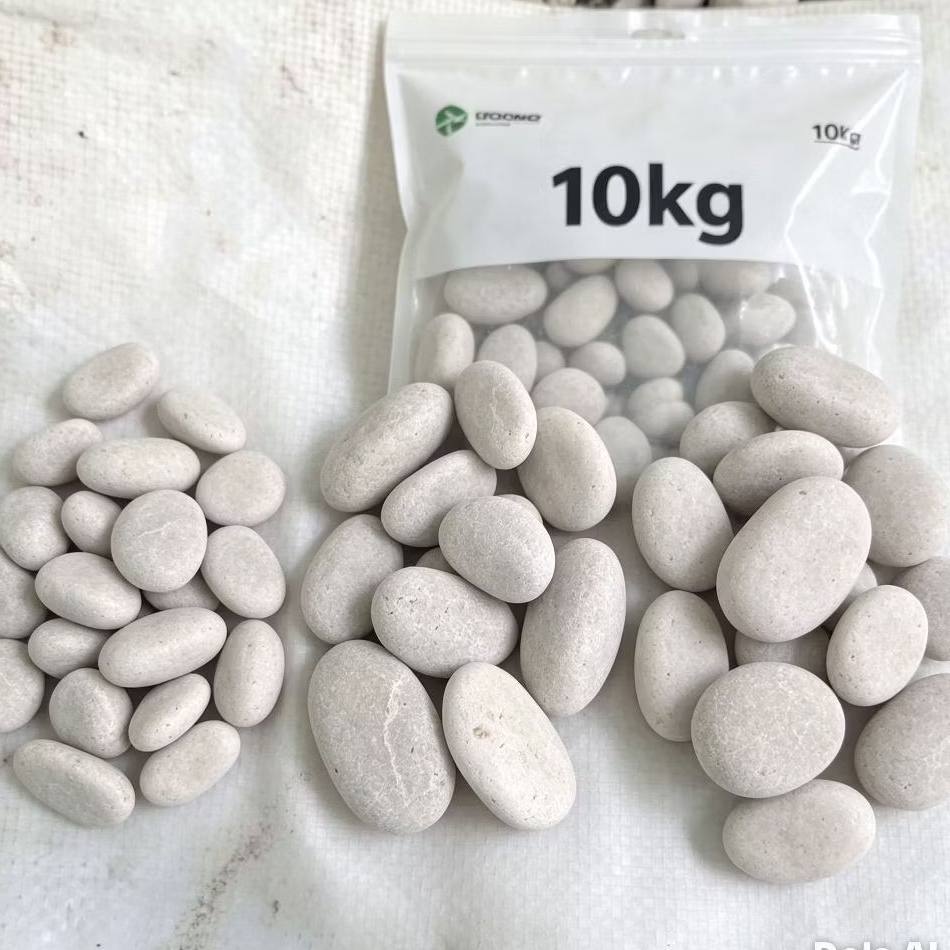 Batu koral putih kupang -+10kg/Batu hias putih/Batu koral hias/Batu taman/Batu aquarium