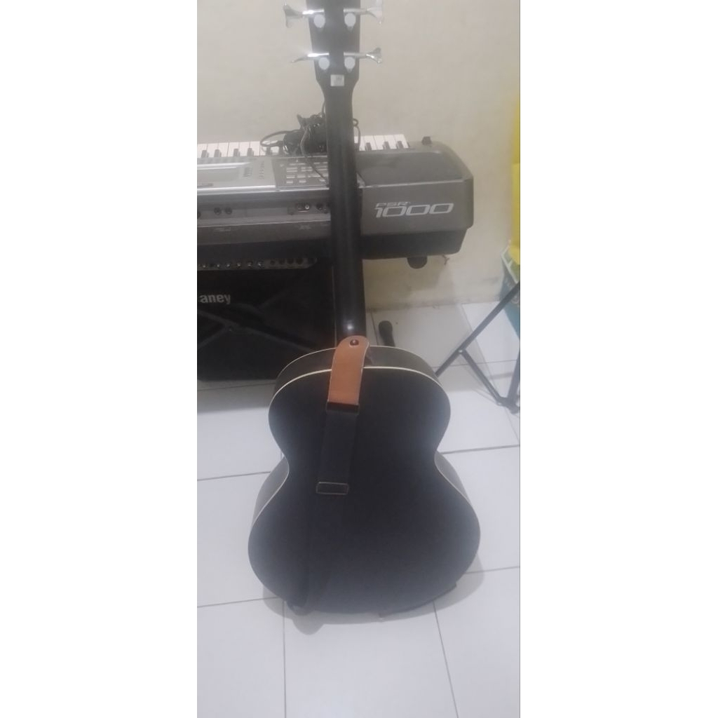 Bass Acoustic Electric