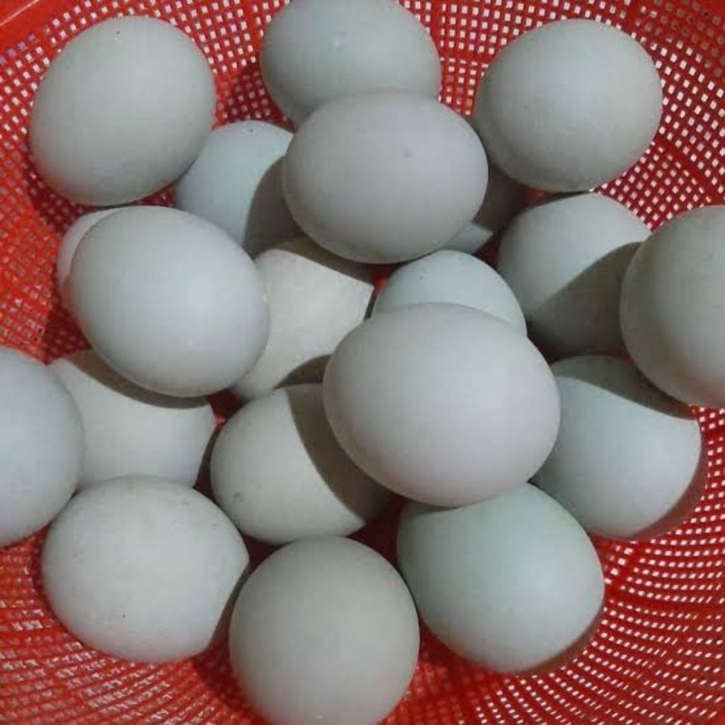 Telur bebek mentah