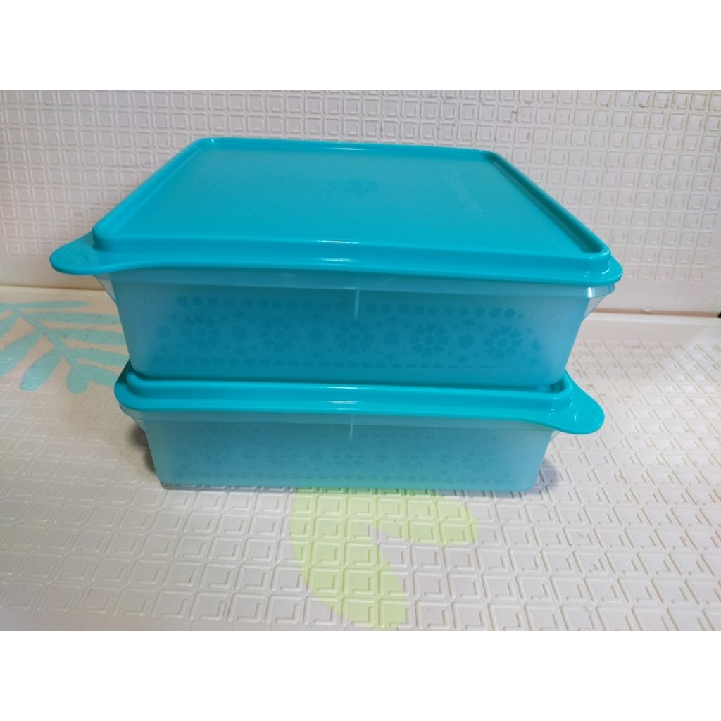 SNACK N STORE TUPPERWARE BARU
