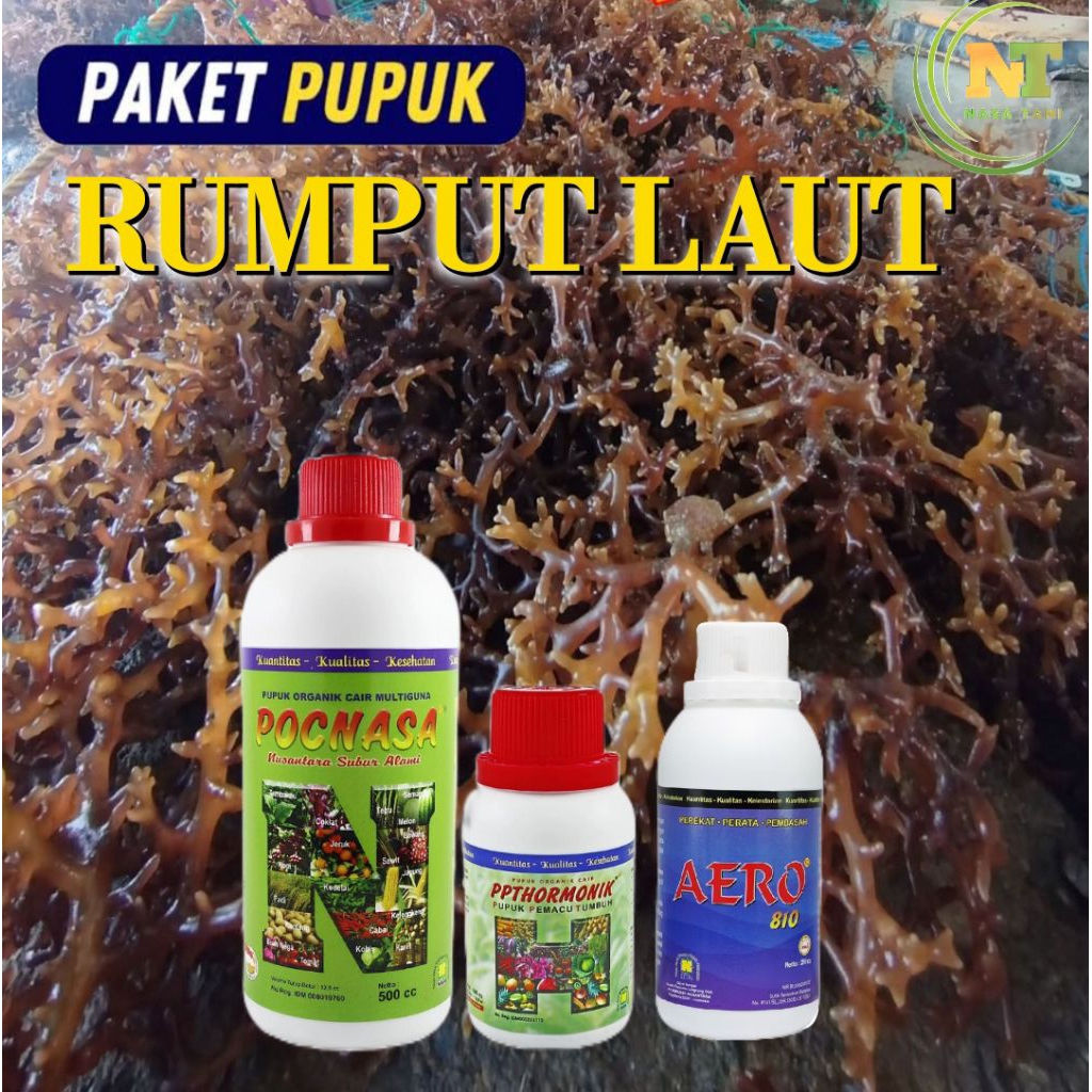 Paket Pupuk Rumput Laut POC NASA 500cc, Hormonik 100cc, dan Aero 810 250ml Mempercepat Pertumbuhan  