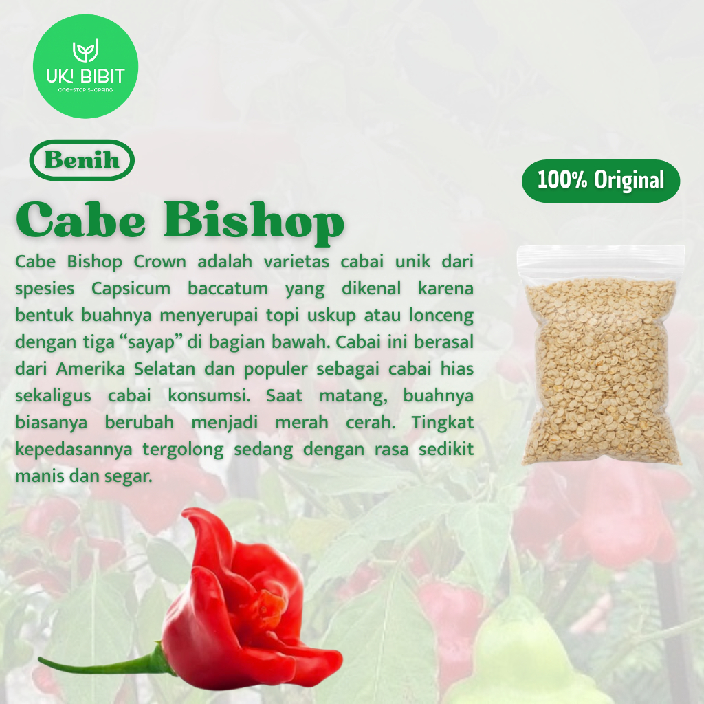 ( 3 Butir ) Benih Biji Cabe Bishop Crown | Cabe Hias Windbell