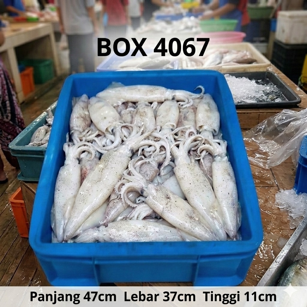 WARNA RANDOM Kontainer Box Plastik Container/Box 4067 box kerang ikan seafood