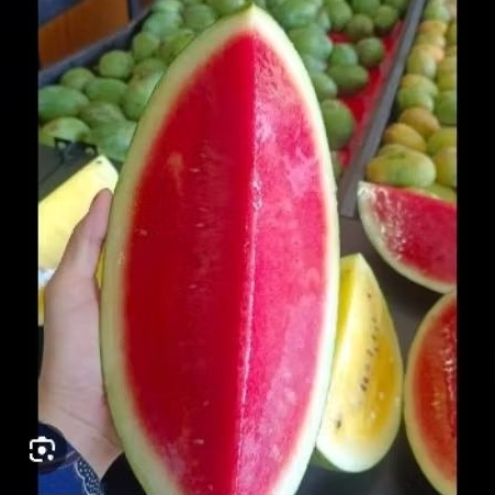 [COD] Buah potong, buah rujak maanis khusus INSTAN