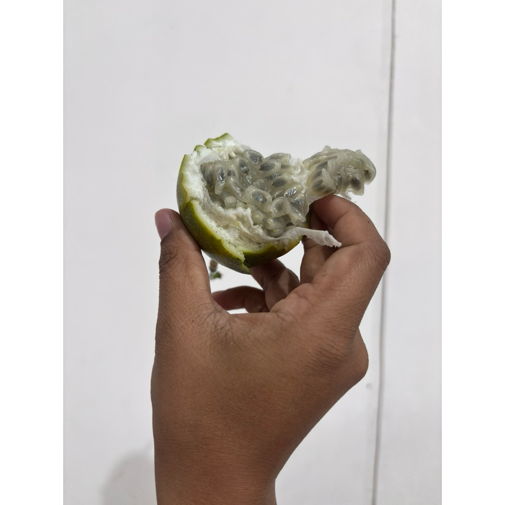 Konyal Madu Asli