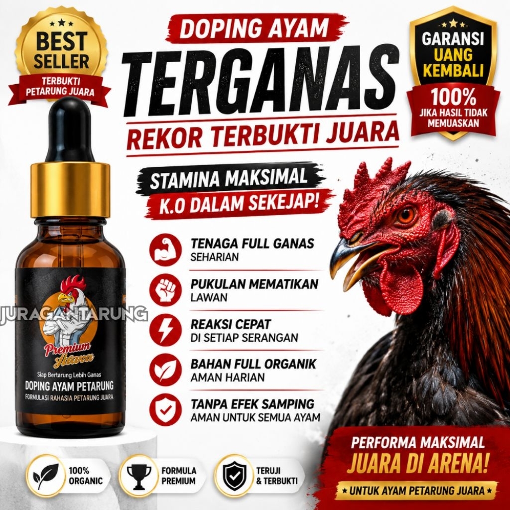 [MUSUH K-O TERCEPAT],Doping Ayam Aduan Paling Bagus,Doping Ayam Aduan Terganas,Doping Ayam Aduan