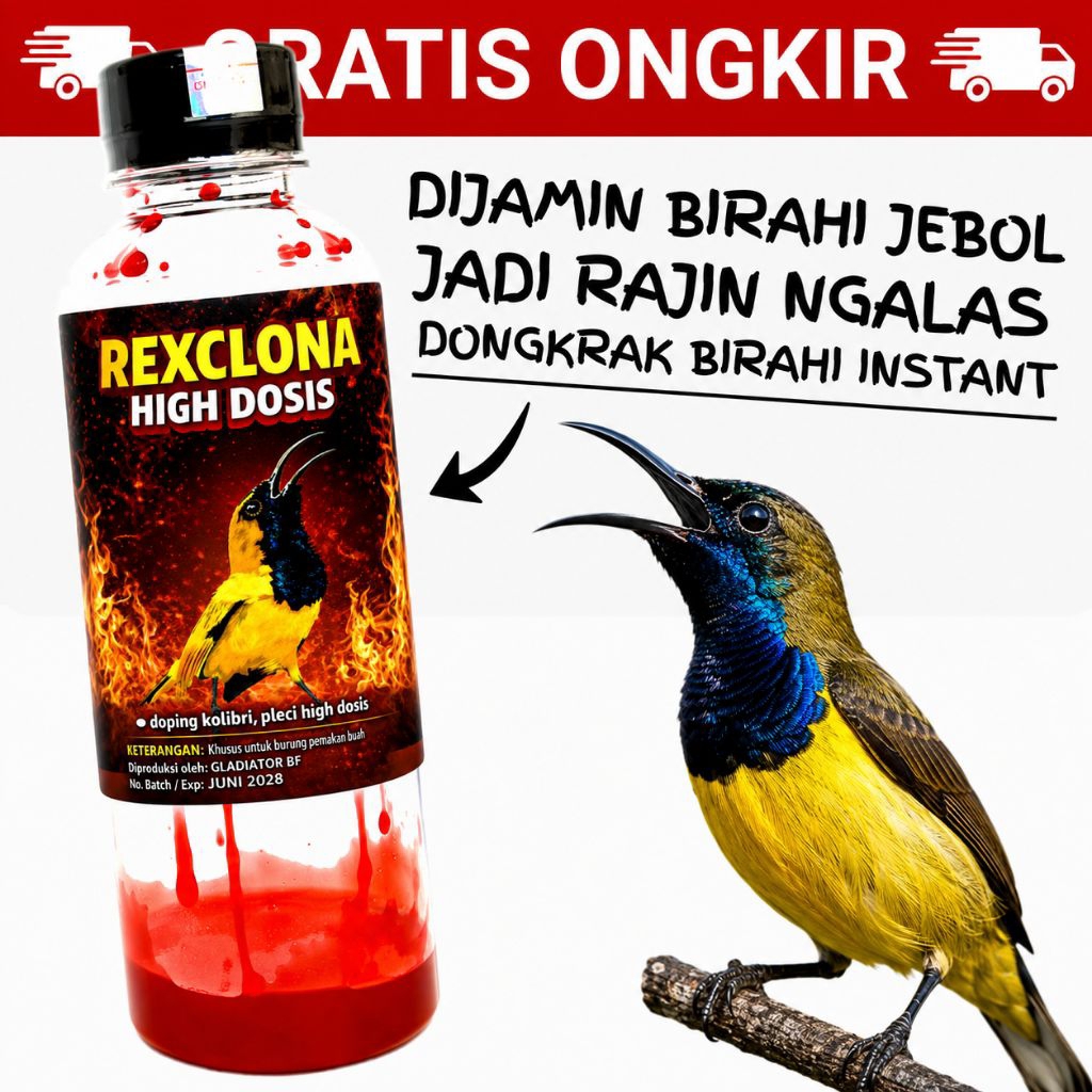 [PROMO]  REXCLONA BOOSTER DOPING PLECI DOPING KOLIBRI DOSIS TINGGI  || UNTUK KOLIBRI,PLECI,CUCAK IJO