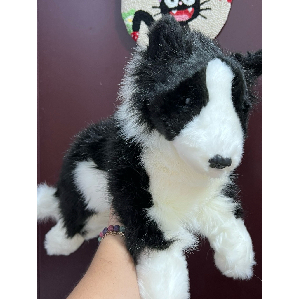 Boneka Anjing Border Collie Cutting Brand 50 Cm