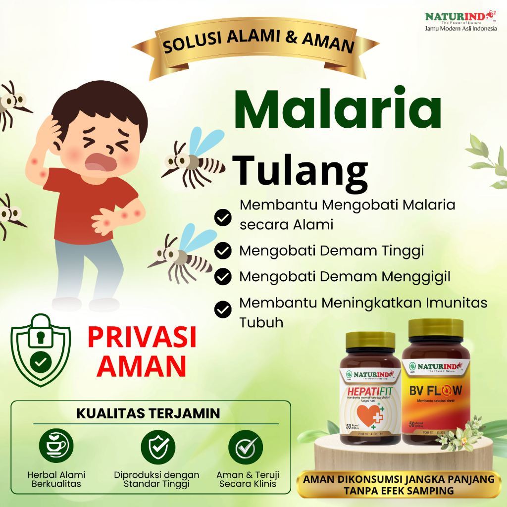 Obat Malaria Ringan Berat Demam Tinggi Anemia Herbal Ampuh